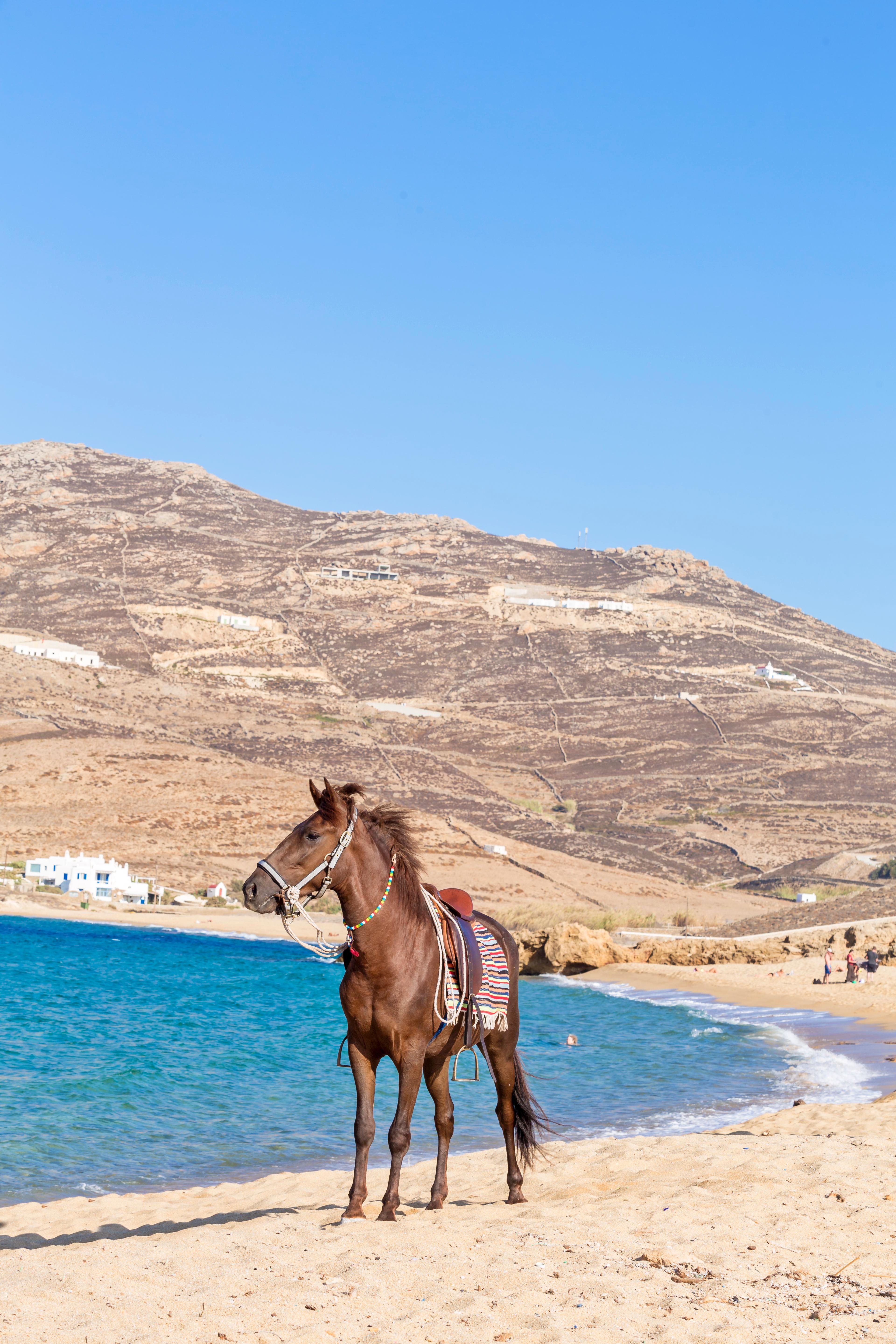 Anamar Mykonos Natural Retreat Фтелия Экстерьер фото